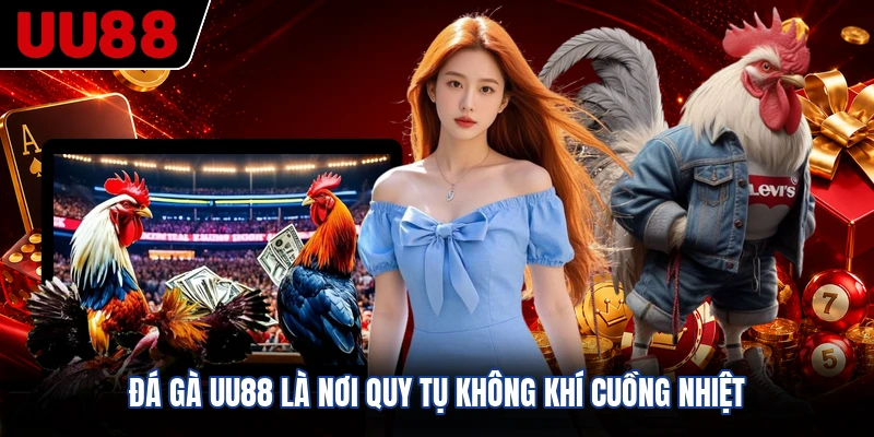Đá gà UU88 là nơi quy tụ không khí cuồng nhiệt